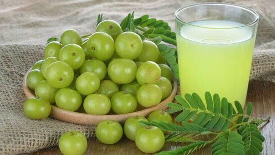  Amla Juice Benefits : ఖాళీ కడుపుతో ఉసిరి జ్యూస్ తాగితే ఎన్ని ప్రయోజనాలో తెలుసా?
