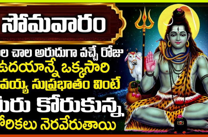  నేడు శివయ్యకి ఇష్టమైన రోజు ఈ పాట విన్నారంటే శుభవార్త వినడం ఖాయం || Om Namo Shivaya