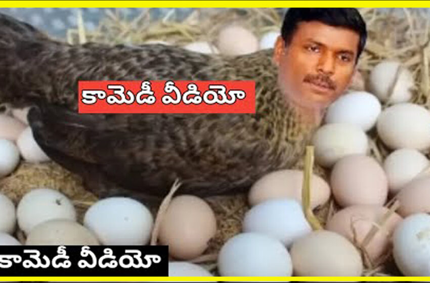  YCP Jagan Paytm batch latest political comedy funny trolls videos Telugu