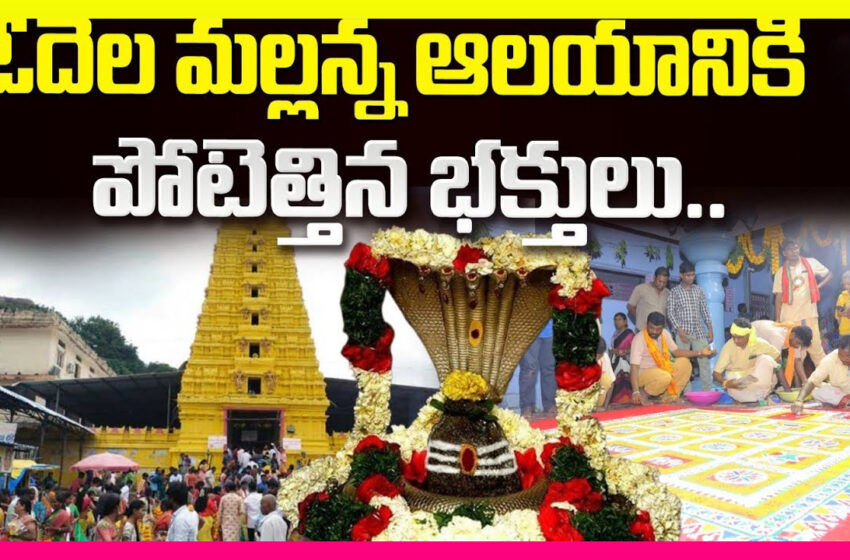  Huge Devotees Crowd At Sri Mallikarjuna Swamy ఓదెల మల్లన్న ఆలయానికి పోటెత్తిన భక్తులు BNEWS