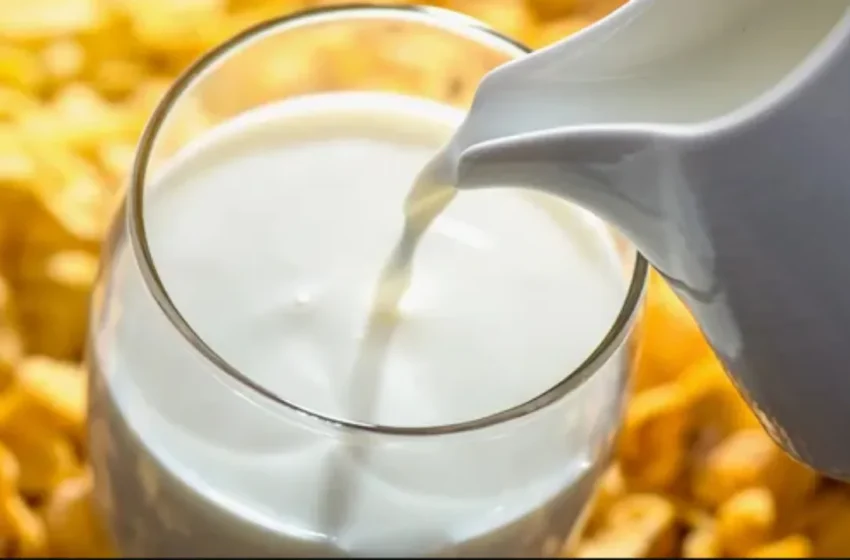  Life Style: హాట్ or కోల్డ్.. వేసవిలో ఏ పాలు తాగితే మంచిది..?