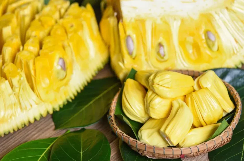  Vegetarian Meat: నాన్‌ వెజ్‌ తినని వారికి అద్భుత వరం ఈ పండు.. ఏడాదికొక్కసారి తింటే క్యాన్సర్ జన్మలో రాదు!