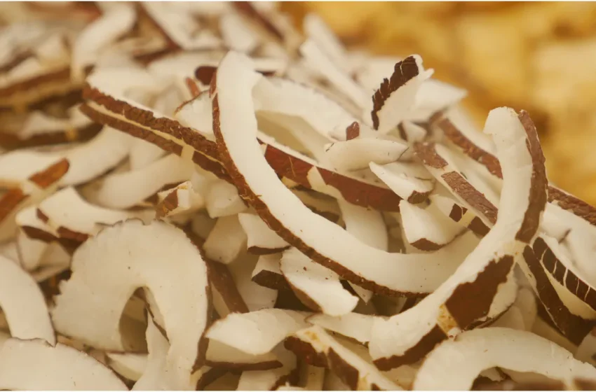  Dried Coconut: ఎండిన కొబ్బరితో గుండెకు ప్రయోజనకరం.. బరువు తగ్గడానికి బెస్ట్ ఫుడ్