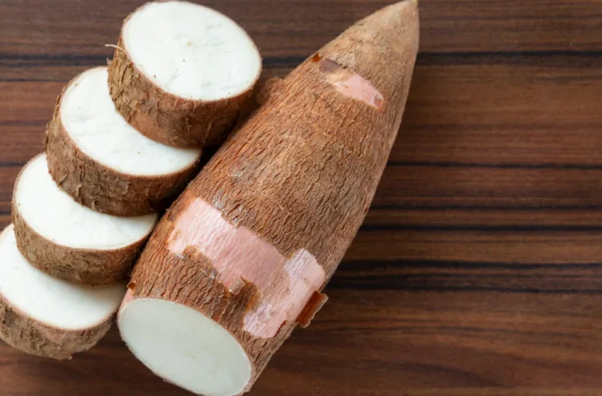  Elephant Foot Yam: కంద ప్రయోజనాలు మీకు తెలుసుకుంటే ఆశ్చర్యపోవడం పక్కా!