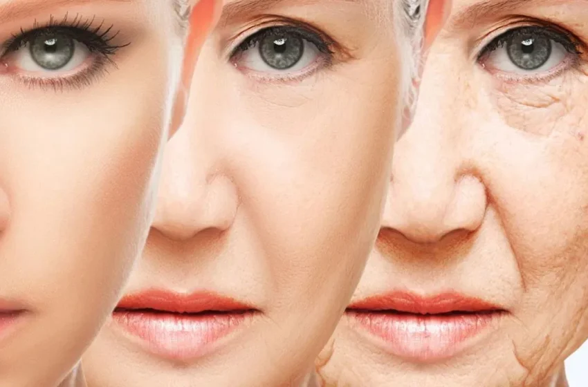  Anti Aging Secrets: ముఖంపై ముడతలు తగ్గే సొల్యూషన్ మీ ఇంట్లోనే ఉంది..!