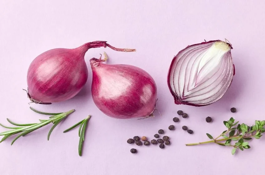  Onion Juice: తల్లికంటే ఎక్కువ మేలు చేసే రసం.. డైలీ తీసుకుంటే 5 సమస్యలు పరార్