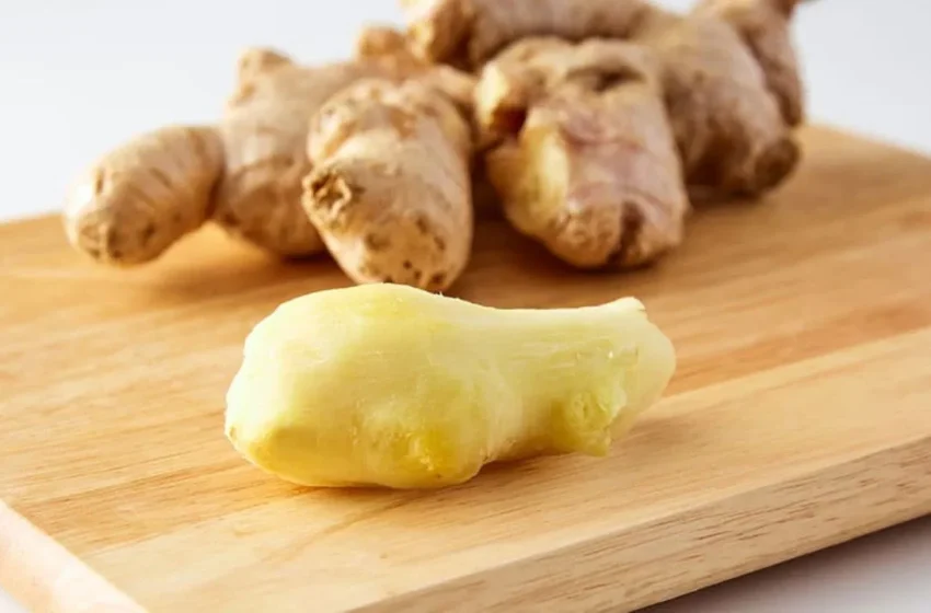  Ginger Benefits: వావ్‌ రోజుకో చిన్న ముక్క అల్లం తింటే ఇన్ని లాభాలా..? ఈ సీజన్‌లో రెట్టింపు బెనిఫిట్స్..!