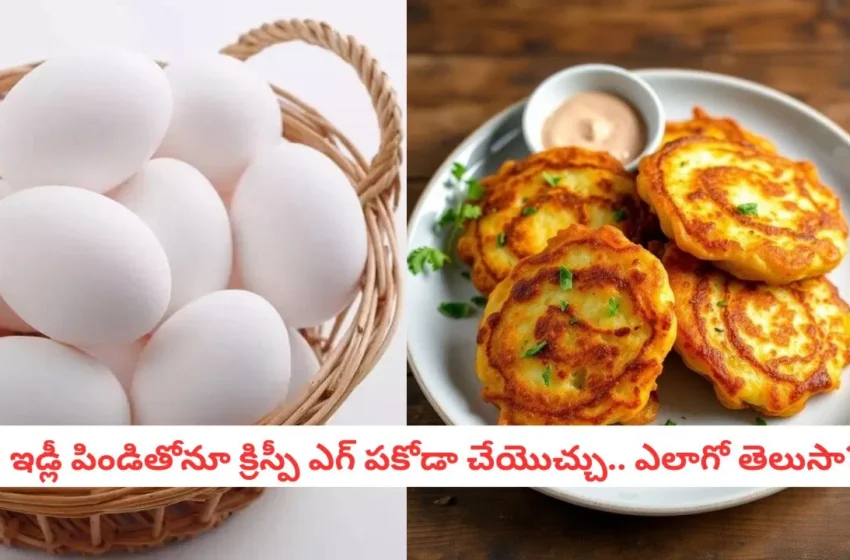  Egg Fritters Recipe : వేడి వేడి ‘మసాలా ఎగ్ ఫ్రిట్టర్స్’.. ఒక్కసారి తింటే ఆ రుచిని అస్సలు మర్చిపోలేరు!