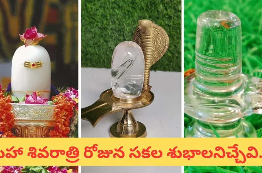  మహా శివరాత్రి.. ఈరోజు ఏ శివ లింగాన్ని పూజ చేస్తే ఎలాంటి ఫలితం వస్తుందో తెలుసా..?