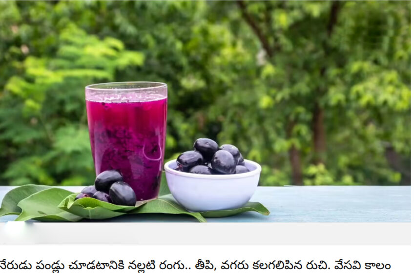  షుగర్‌ కంట్రోల్‌, బరువు తగ్గడం, గుండె ఆరోగ్యానికి మేలు చేసే నేరేడు పండ్లు, దొరికితే ఖచ్చితంగా తినండి